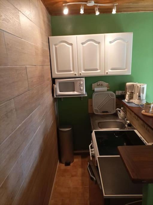 Lumineux 2 Pieces A St Martin Apartment Saint-Martin-Vésubie Екстериор снимка
